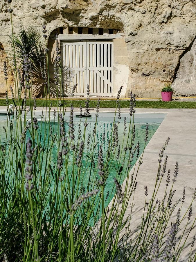 Bed and Breakfast Domaine Du Val Sauvage Langeais Exterior foto